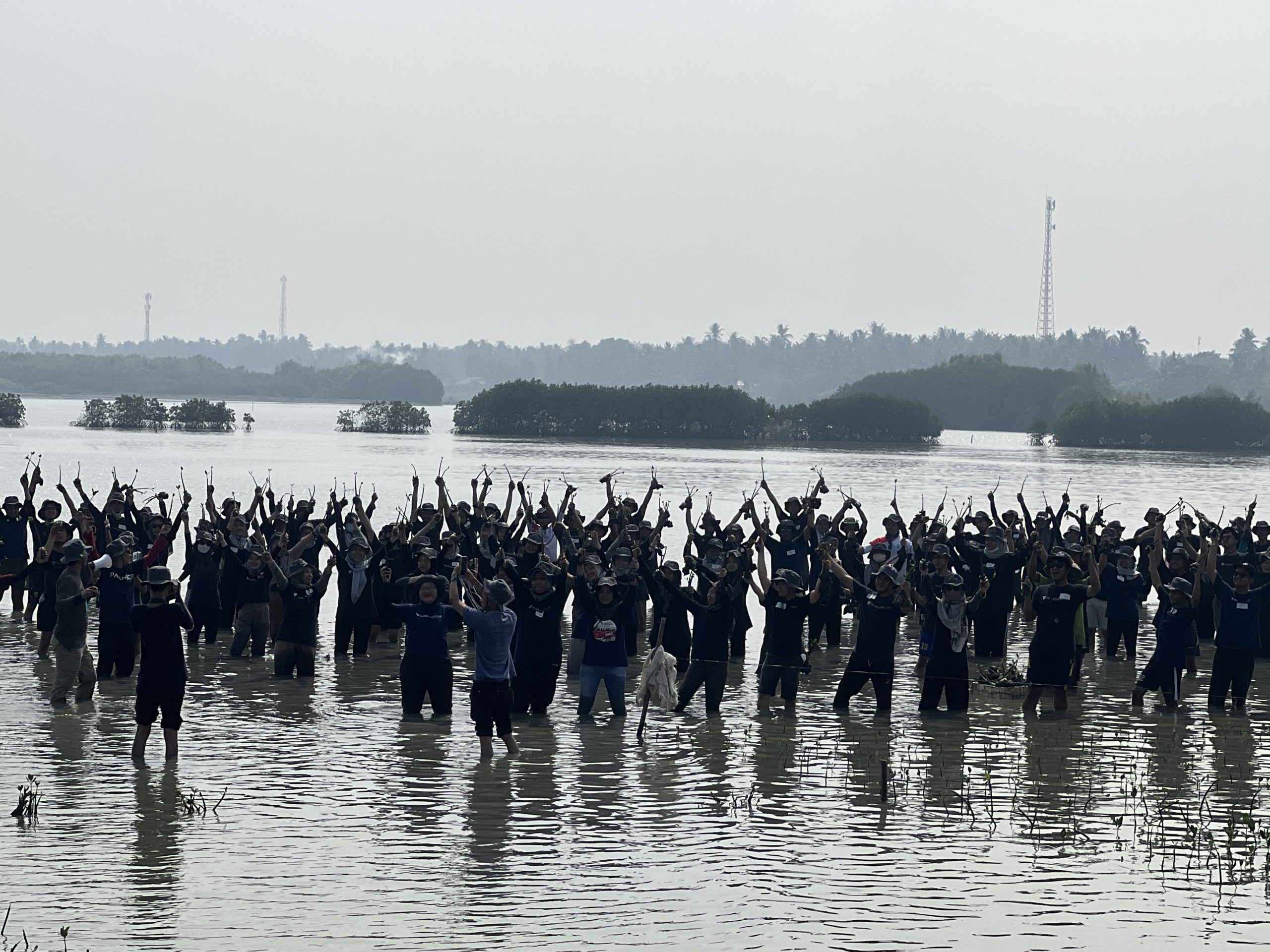 120 Paragonian Factory yang Melakukan Penanaman 10.000 Mangrove di Pesisir Mauk Tangerang