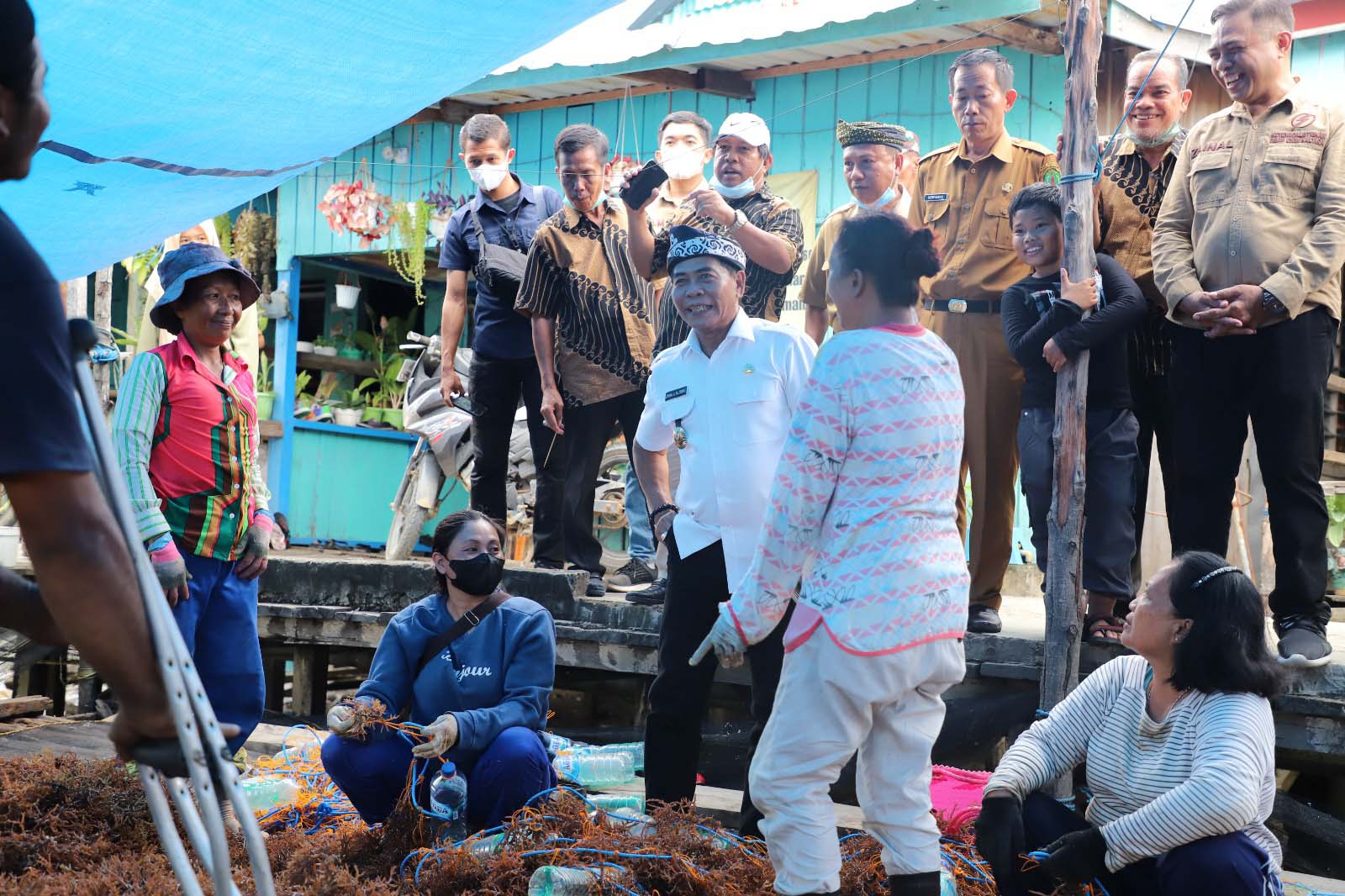 DPMPTSP Kaltara Kaji Lokasi Industri Rumput Laut