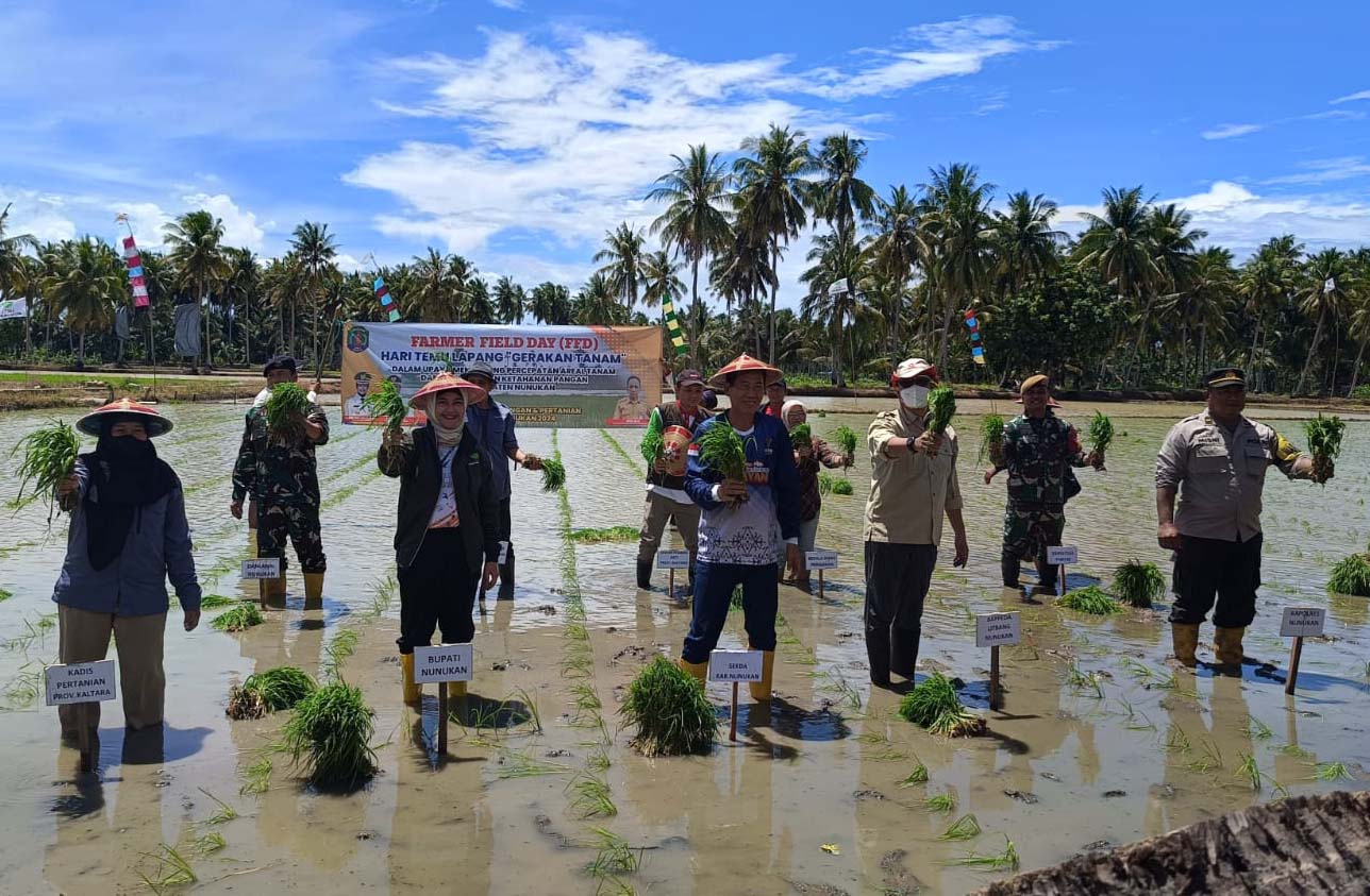 Gerakan Tanam Padi Dalam Farm Field Day Kecamatan Sebatik