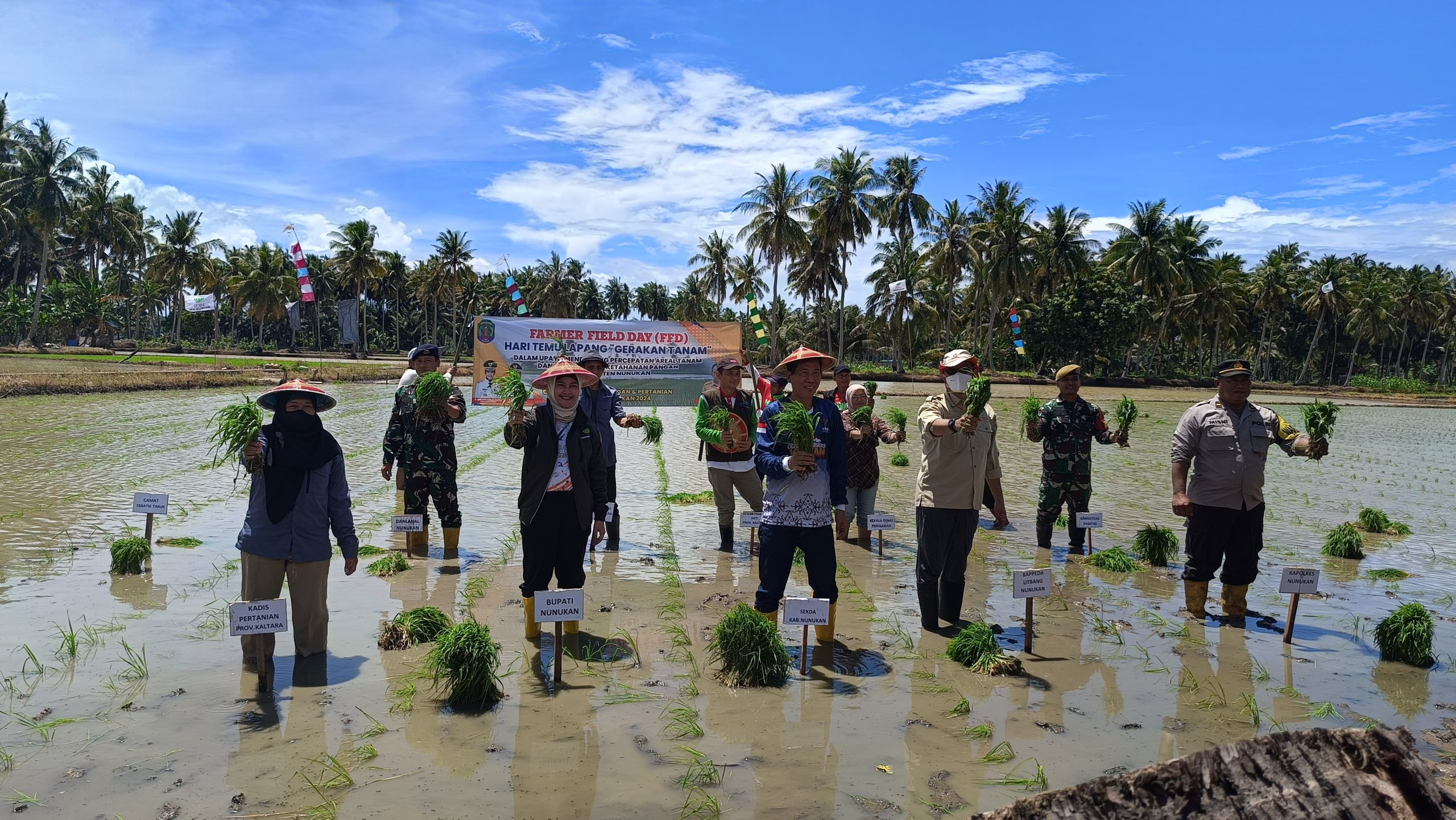 Ketua HKTI Nunukan bersama unsur pemerintah daerah menanam padi sebagai simbol gerakan tanam padi dalam penguatan ketahanan pangan di Kabupaten Nunukan.