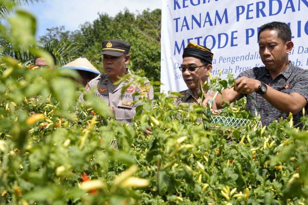 Kolaborasi KPw BI dan Pemprov Kaltara dalam Pengendalian Inflasi.