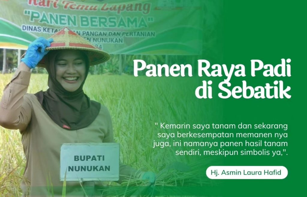 Bupati Laura Panen Raya Padi di Sebatik Timur Bersama Kelompok Tani Mamminasae.