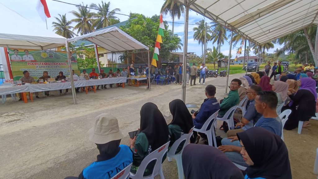 Hari Temu Lapang dan Panen Raya Gapoktan Mamminasae Sebatik Timur Nunukan