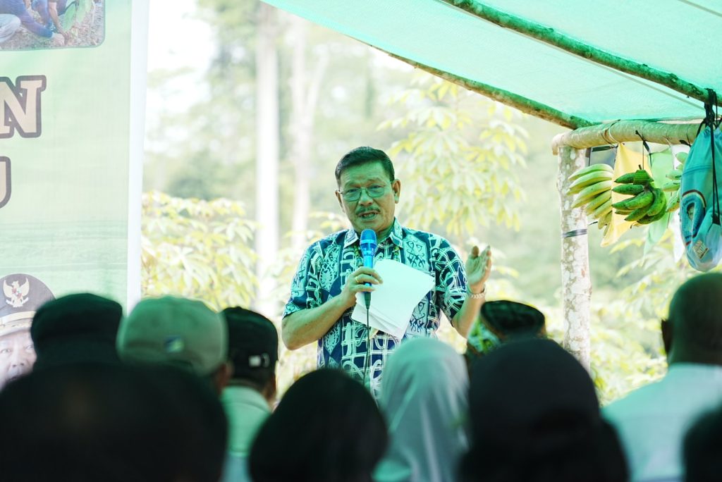 Pemprov Apresiasi Semangat Petani Sajau Metun Syukuran Panen Padi