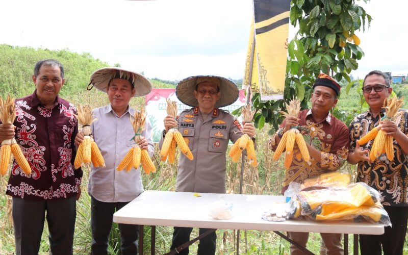 Kapolda Kaltara Hadiri Panen Raya Jagung Serentak di Desa Kelubir “Wujud Komitmen Dukung Swasembada Pangan Nasional”