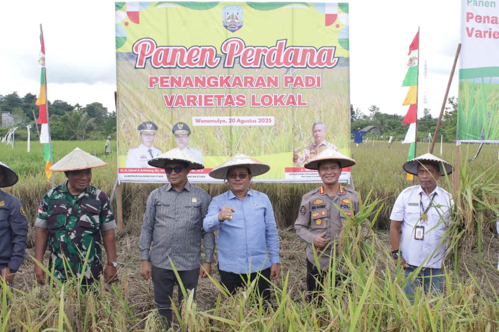 Polisi Turun ke Sawah, Kabid Humas Polda Kaltara Panen Padi Lokal