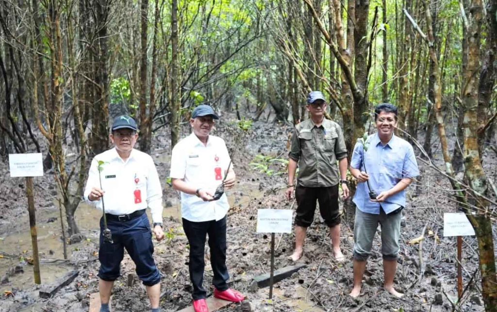 Tanam Seribu Bibit Mangrove di Belaga-One, Disbudporapar Dukung Wisata Berbasis Alam