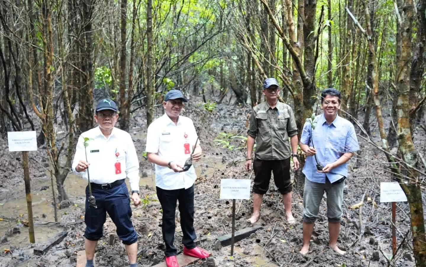 Tanam Seribu Bibit Mangrove di Belaga-One, Disbudporapar Dukung Wisata Berbasis Alam