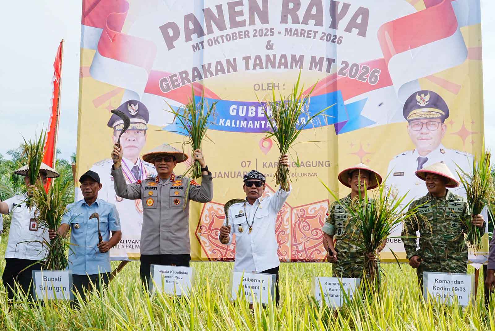 Panen Padi Capai Target, Komitmen Penuh Pemerintah Mendukung Swasembada Pangan Nasional