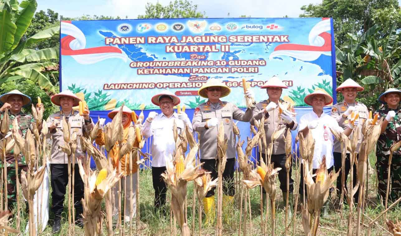 Sinergi Polri dan Petani, Panen Jagung Serentak Digelar di Kaltara