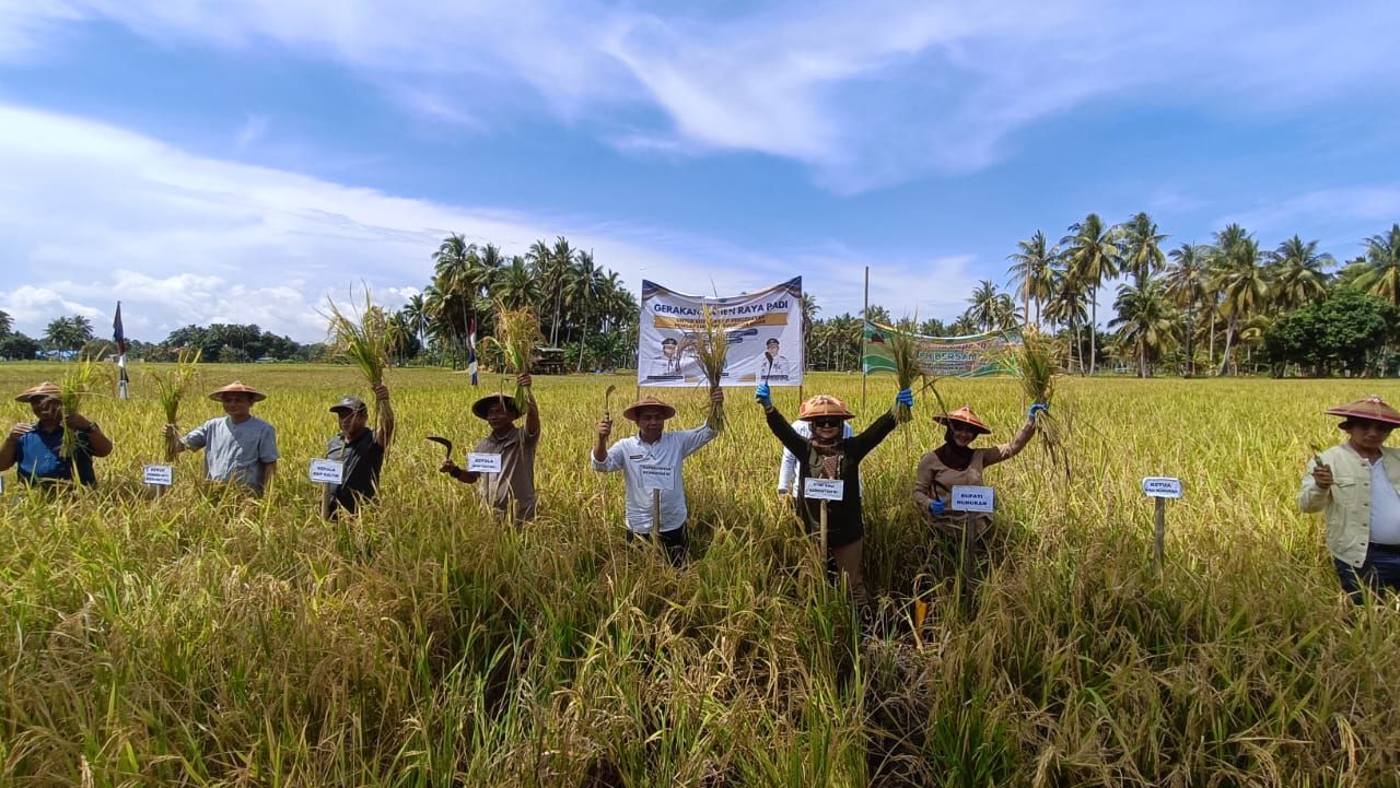 Kegiatan Panen Raya Kelompok Tani Mamminasae Kecamatan Sebatik Timur