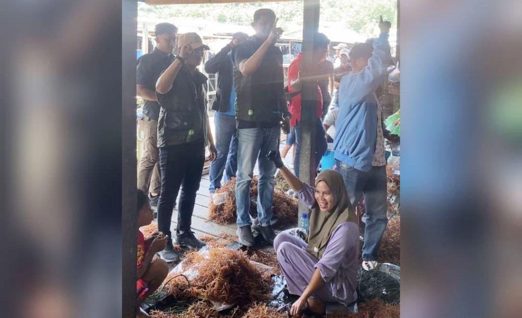 Serap Aspirasi Pembudidaya Rumput Laut Di Sebatik, Ini Solusi GAAS Nomor Urut 1