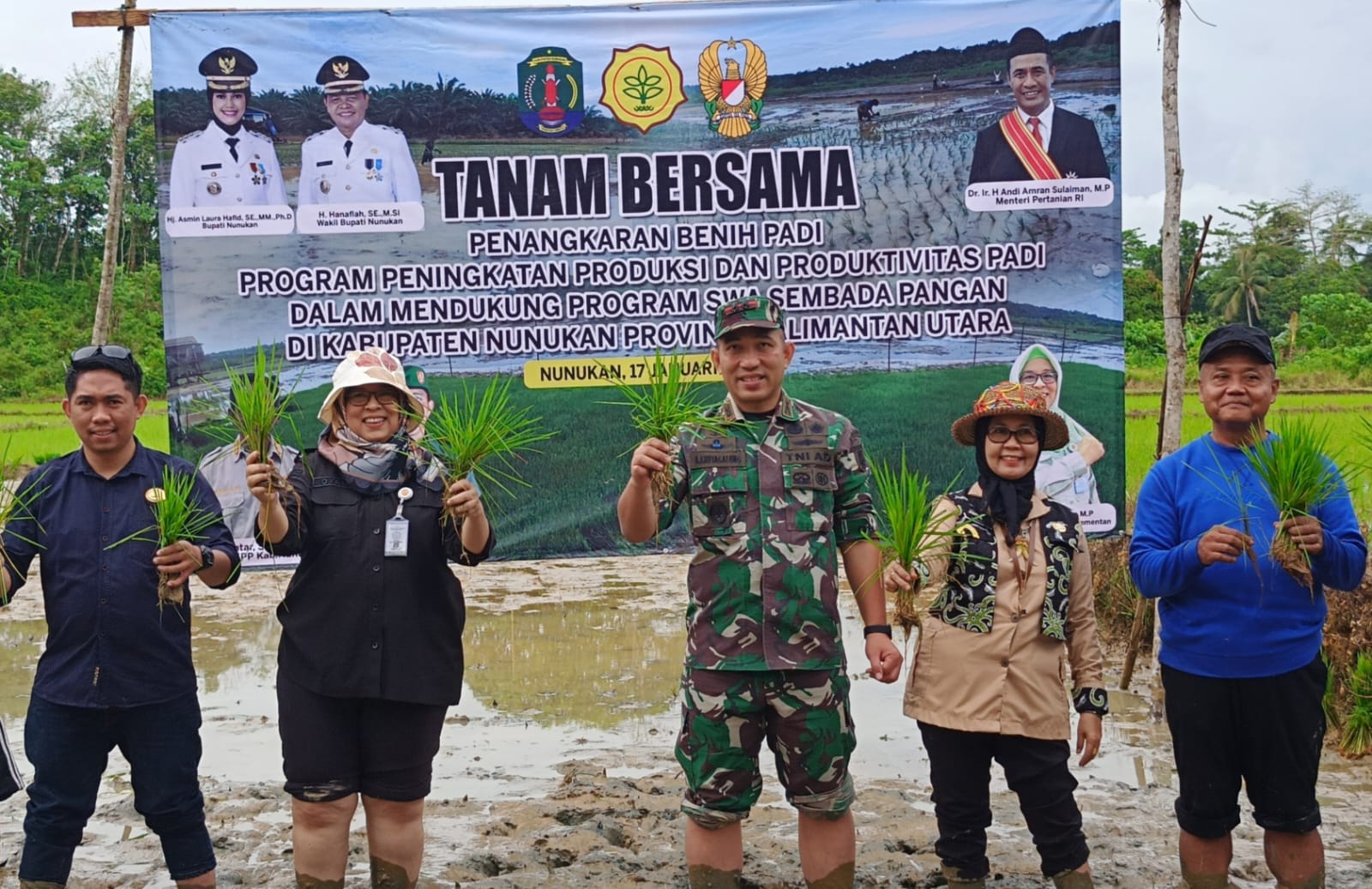 TNI dan Pemerintah Daerah Dorong Peningkatan Produktivitas Padi Di Nunukan