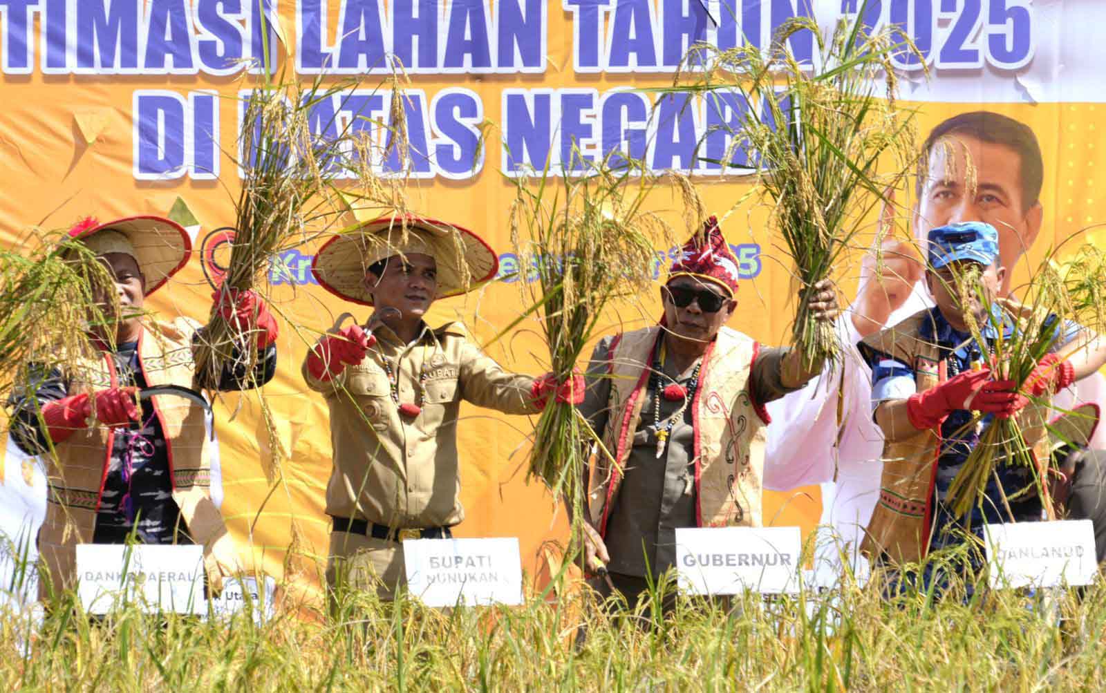 Panen Raya di Perbatasan Negeri, Gubernur Dorong Pengembangan Padi Adan