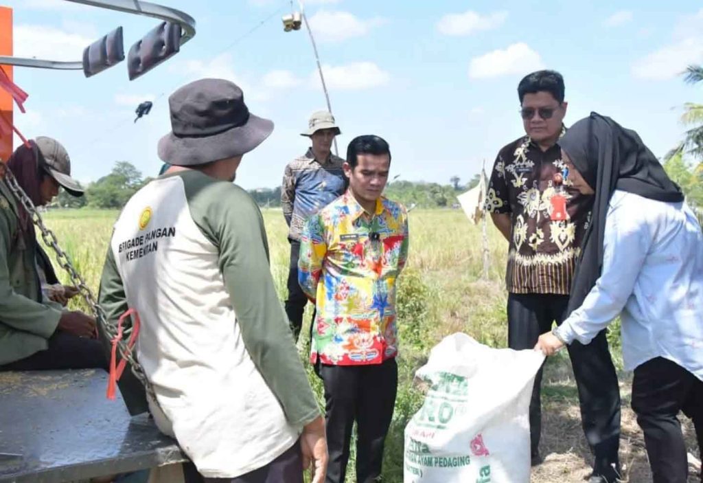 Serap Hasil Panen Gabah Petani, Bulog Jaga Stabilitas Pangan di Nunukan