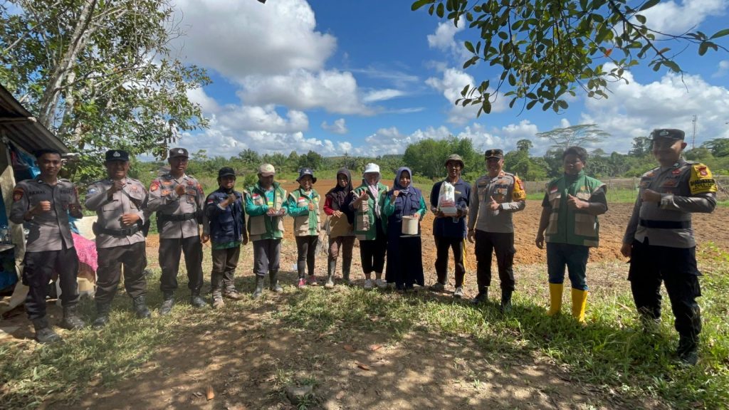 Penanaman jagung kuartal II di desa sanur wujud dukungan ketahanan pangan
