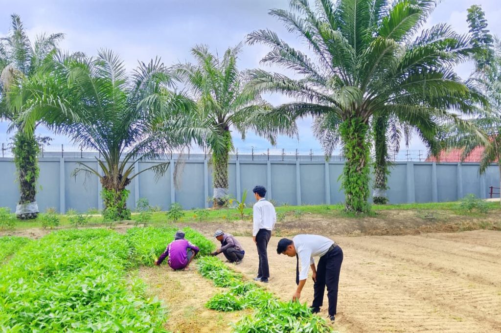 Ciptakan Produktifitas WBP Lanuka Kembangan Program Ketahanan Pangan