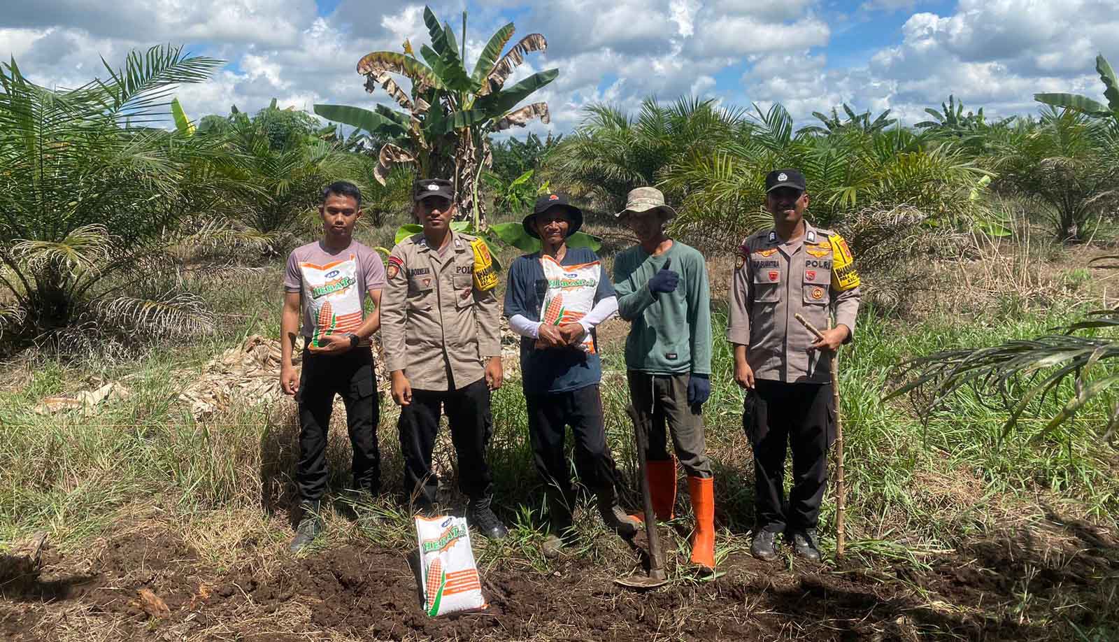 Bhabinkamtibmas Polsek Sebuku Dampingi Petani Tanam Jagung Hibrida untuk Dukung Ketahanan Pangan