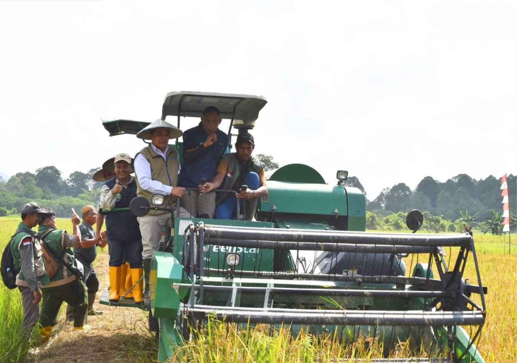 Bulog Siap Beli Gabah Rp6.500 per Kilogram, Bupati Syarwani Optimistis Petani Makin Sejahtera