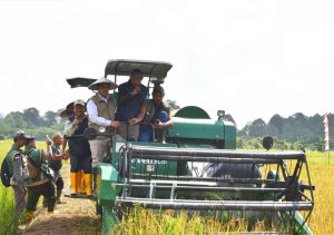 Bulog Siap Beli Gabah Rp6.500 per Kilogram, Bupati Syarwani Optimistis Petani Makin Sejahtera
