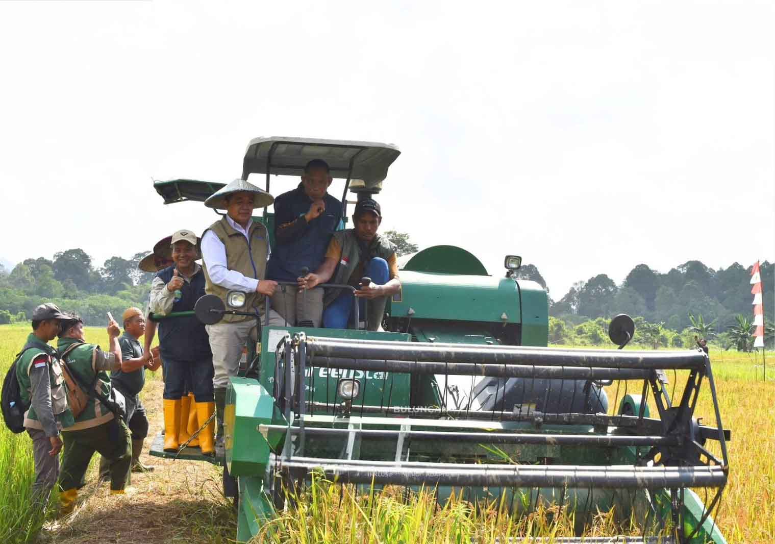Bulog Siap Beli Gabah Rp6.500 per Kilogram, Bupati Syarwani Optimistis Petani Makin Sejahtera