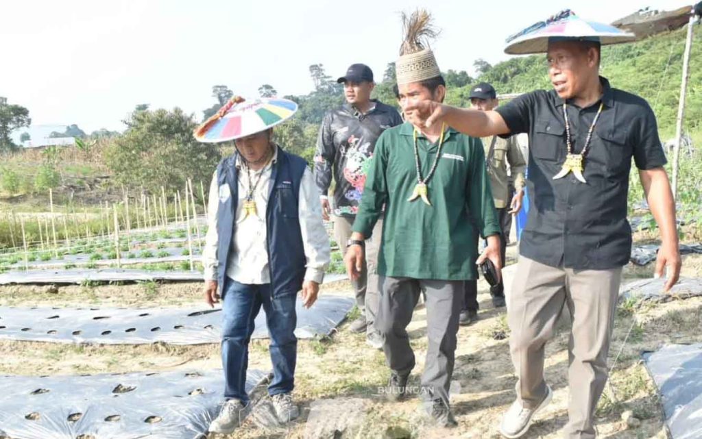 Bupati Bulungan Dorong Pertanian Desa Berorientasi Ekonomi dan Teknologi