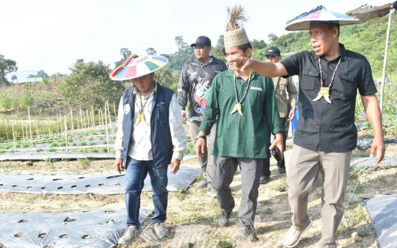 Bupati Bulungan Dorong Pertanian Desa Berorientasi Ekonomi dan Teknologi