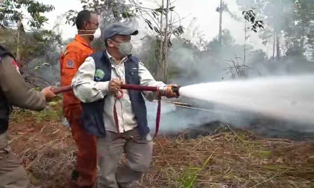 Wabup Bulungan Kilat Turun Langsung Padamkan Karhutla di Mangkupadi