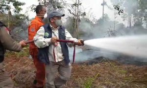 Wabup Bulungan Kilat Turun Langsung Padamkan Karhutla di Mangkupadi